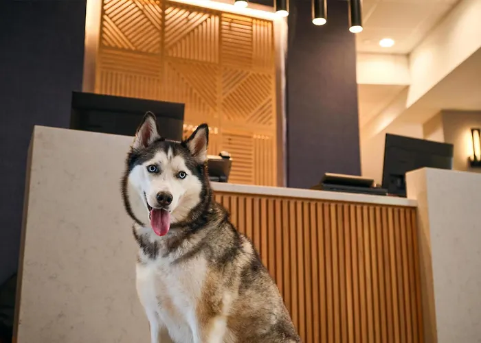 Hyatt Place Tampa Airport/Westshore